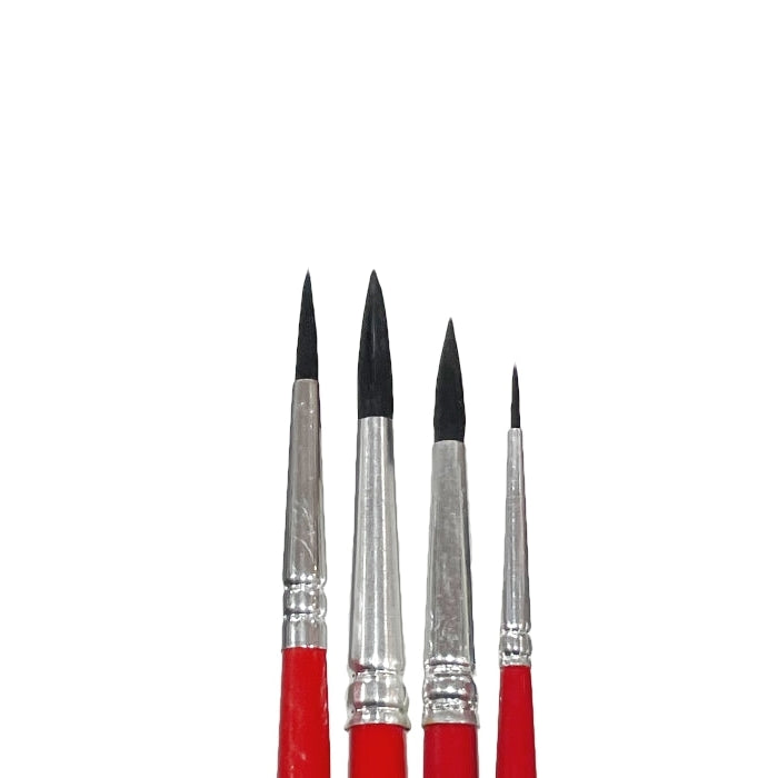 APA - Pennello - Punta Tonda - Pelo di Bue