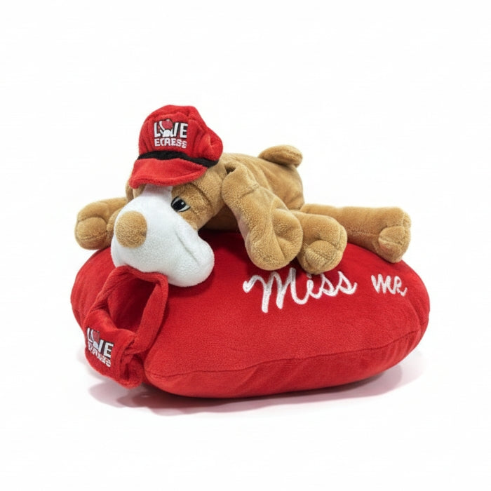 Bimar - Peluche - Cagnolino - "Love Express" & "Miss Me" Su Cuore Rosso