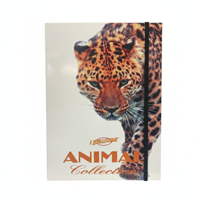 Artena - Carpetta Con Elastico